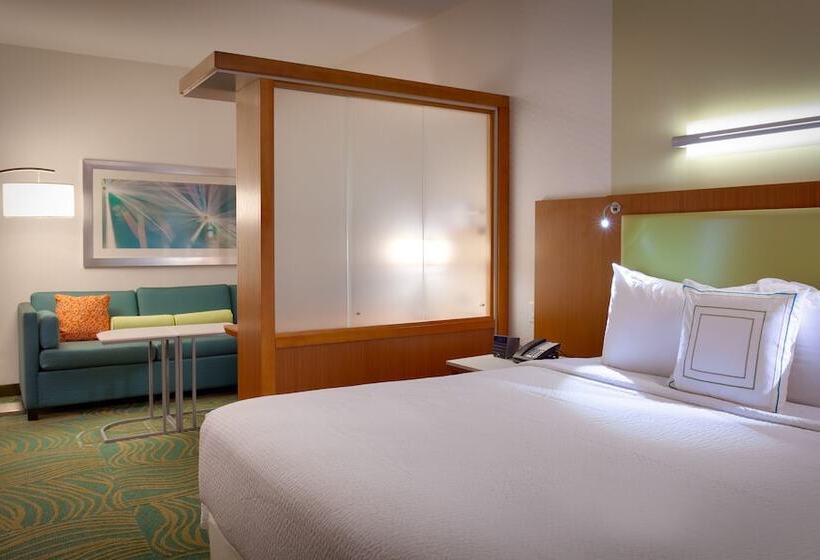 Отель Springhill Suites By Marriott Houston I 45 North