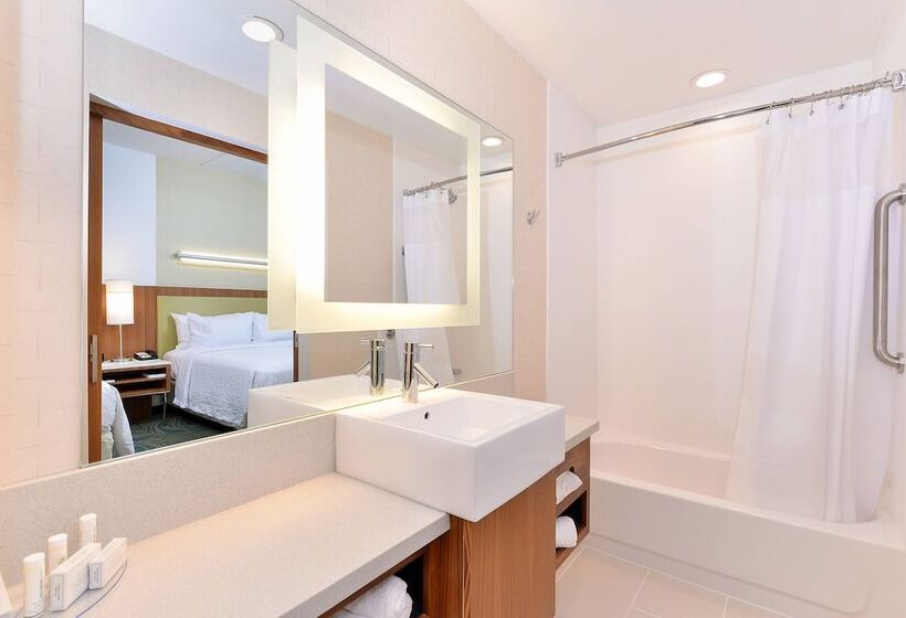 酒店 Springhill Suites By Marriott Raleigh Cary