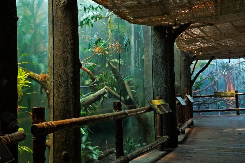 فندق Staybridge Suites Seattle   Fremont, An Ihg