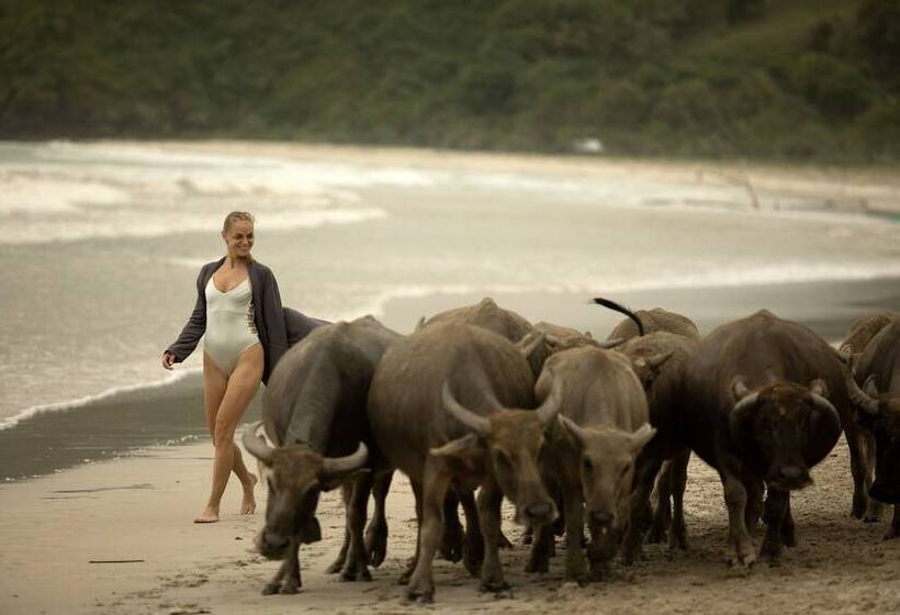 ホテル Sudamala Resort, Senggigi, Lombok