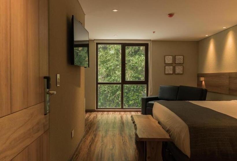 Отель Termales Santa Rosa De Cabal