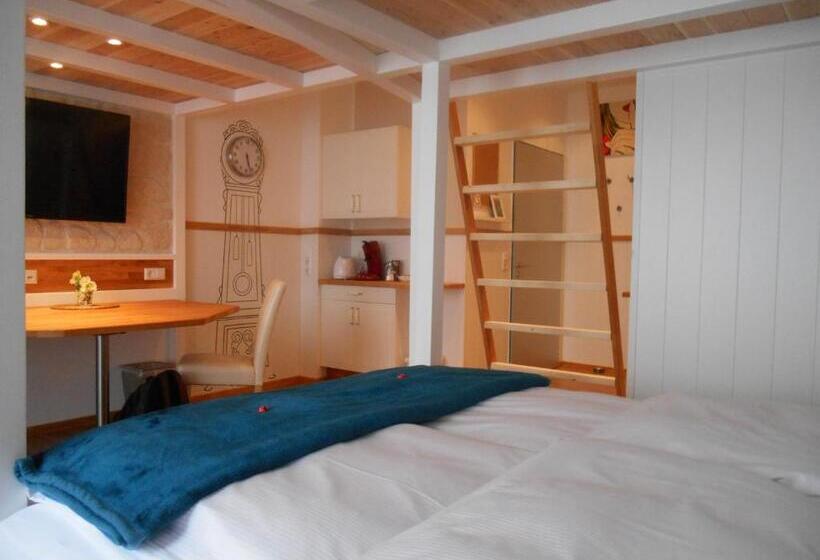 Отель Warum Ins