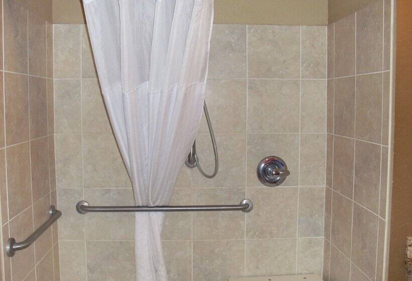 Microtel Inn & Suites By Wyndham Kenedy/karnes City