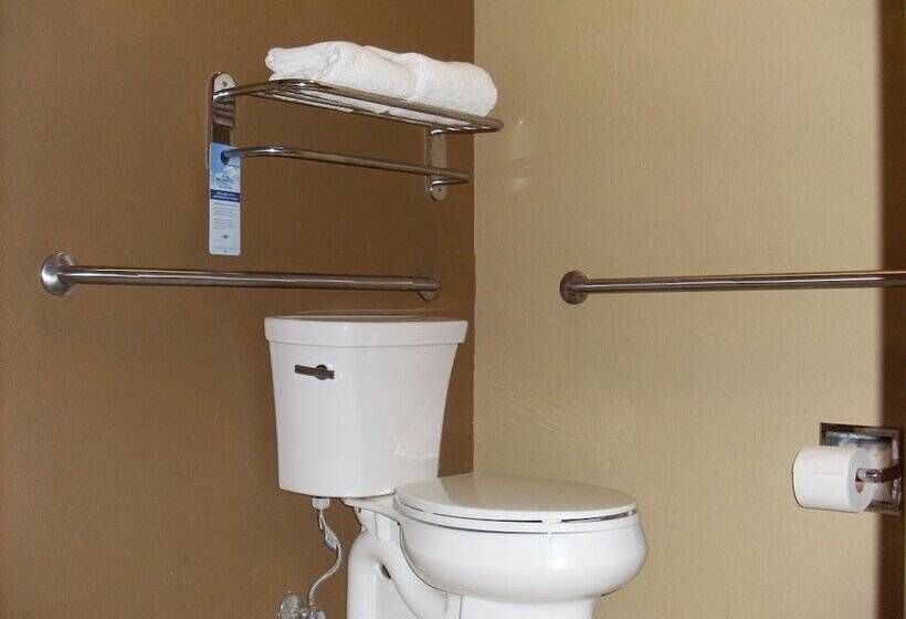 Microtel Inn & Suites By Wyndham Kenedy/karnes City