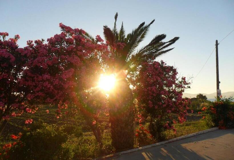 Miros Hotel Apartments