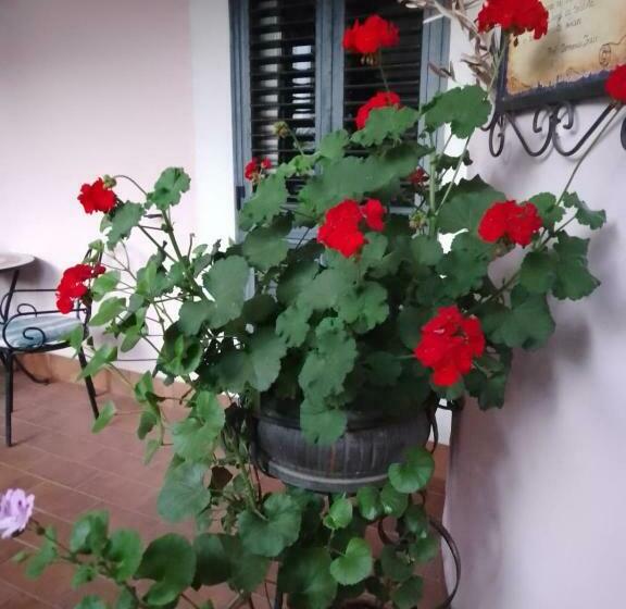 Al Geranio B&b