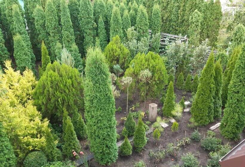 هاستل садиба