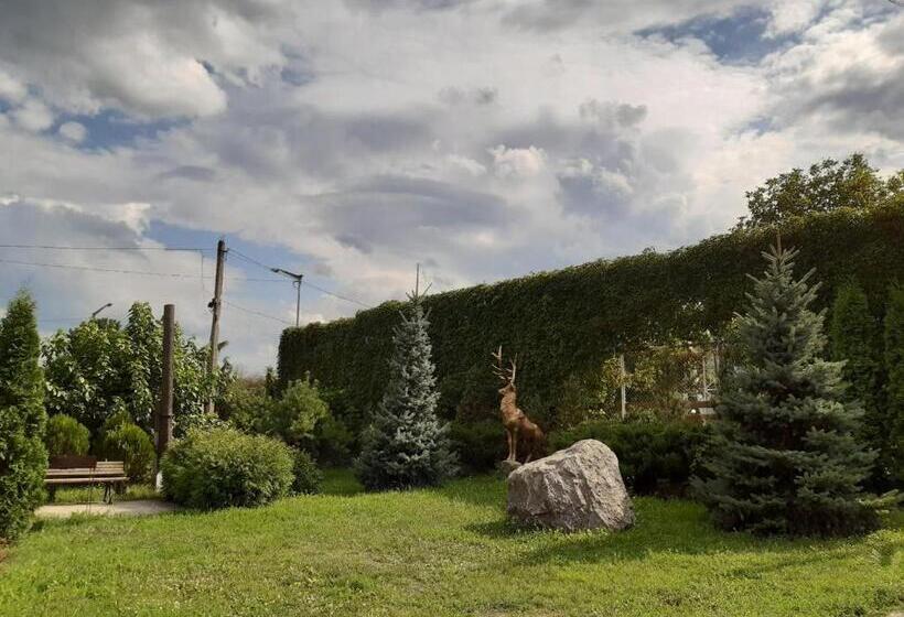 هاستل садиба