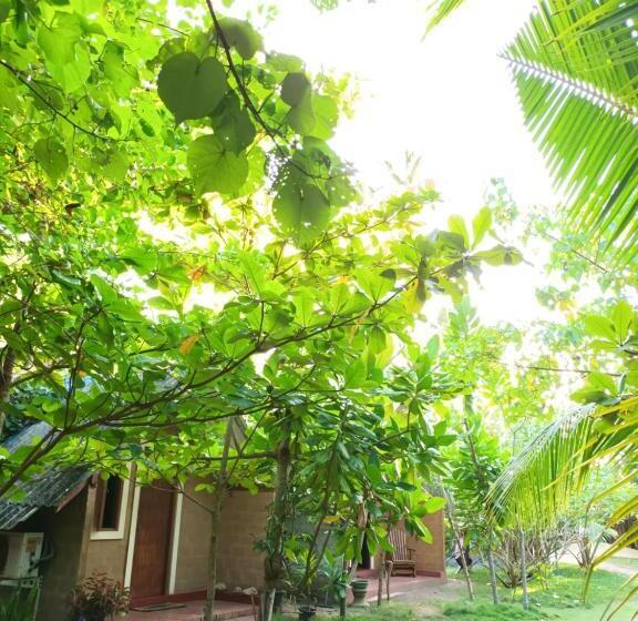 ユースホステル By The C  Cabanas