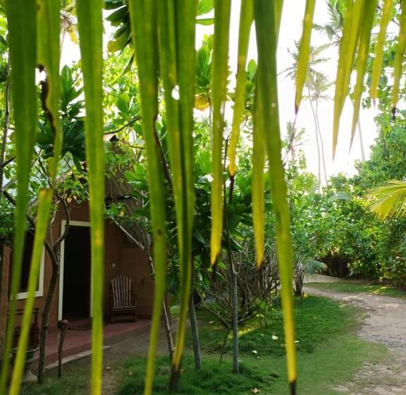 ユースホステル By The C Cabanas