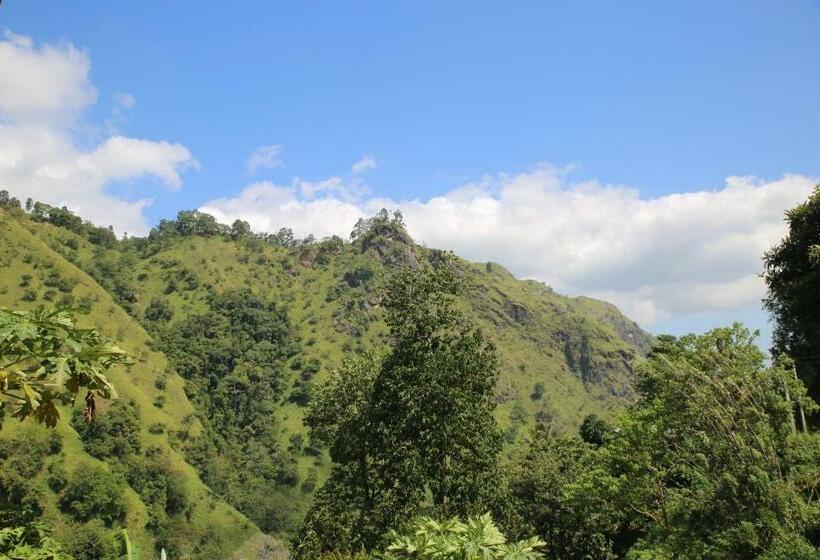 فندق صغير Ella River Face Inn