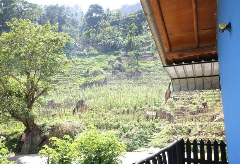 فندق صغير Ella River Face Inn