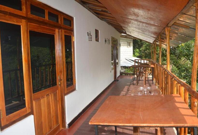 فندق صغير Ella River Face Inn