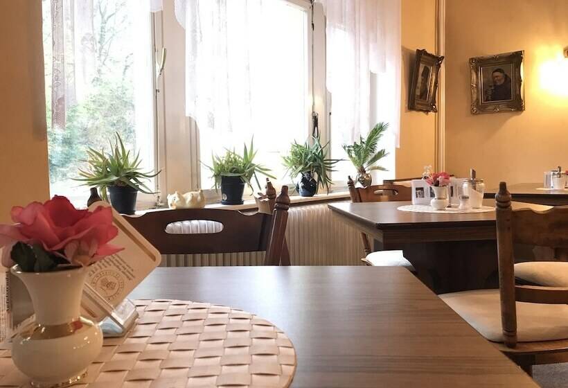 旅馆 Gästehaus Viktoria