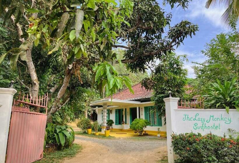 Общежитие Lazy Monkey Sri Lanka