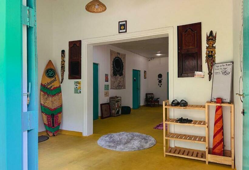 Общежитие Lazy Monkey Sri Lanka