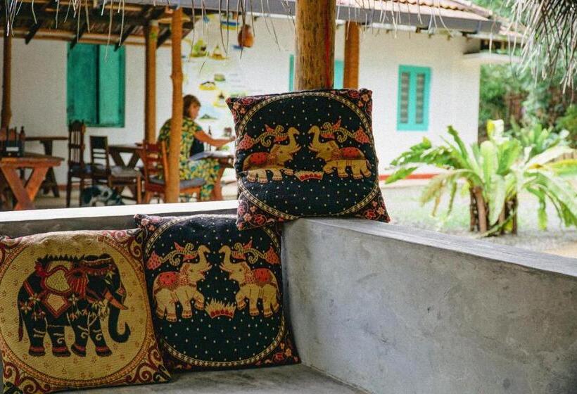 Общежитие Lazy Monkey Sri Lanka