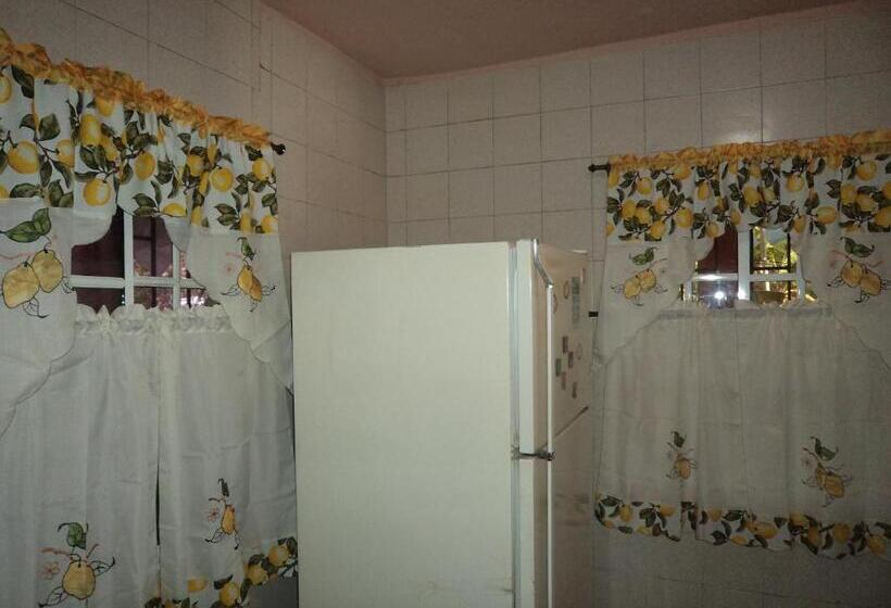 ユースホステル Posada Nativa Shingle Hill