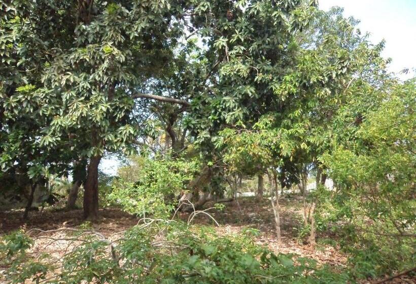 ユースホステル Posada Nativa Shingle Hill