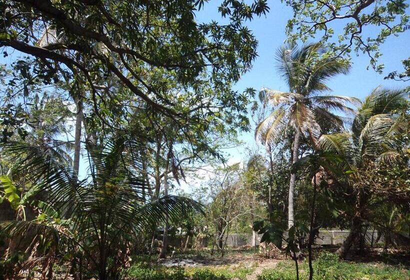 ユースホステル Posada Nativa Shingle Hill