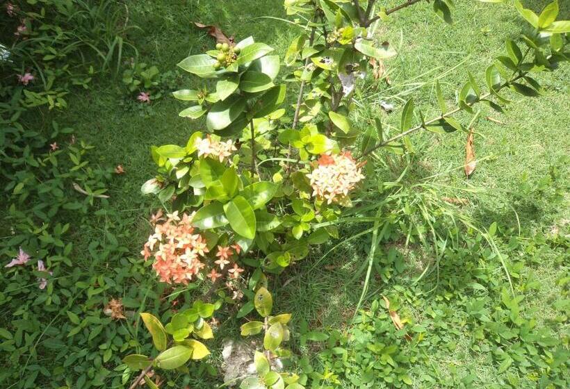 ユースホステル Posada Nativa Shingle Hill