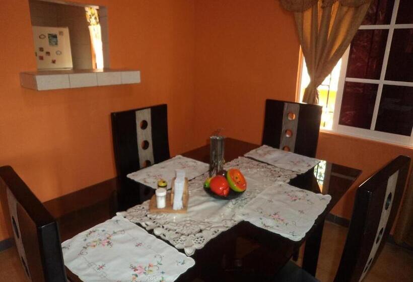 ユースホステル Posada Nativa Shingle Hill