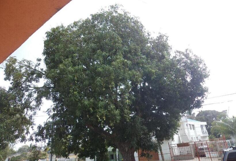 ユースホステル Posada Nativa Shingle Hill