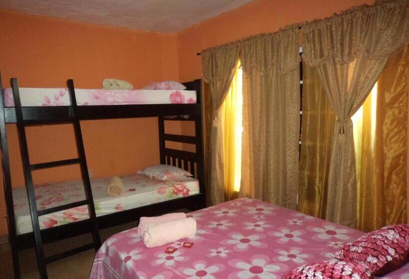 هاستل Posada Nativa Shingle Hill