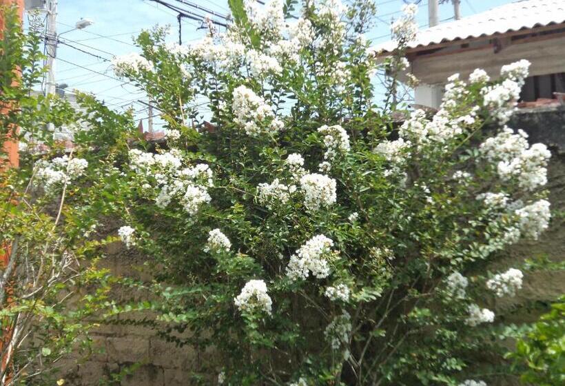 هاستل Posada Nativa Shingle Hill