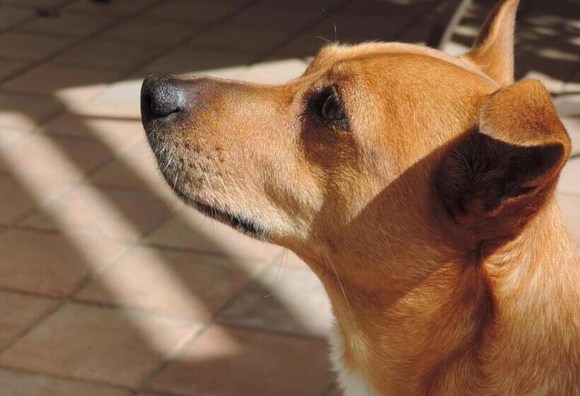 مبيت وإفطار La Casa Di Armando