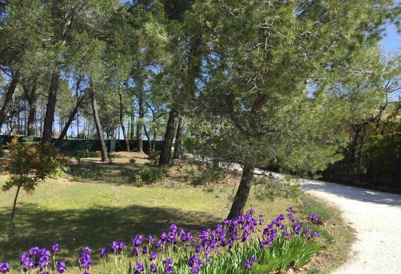 ベッドアンドブレックファースト Le Clos Des Cigales