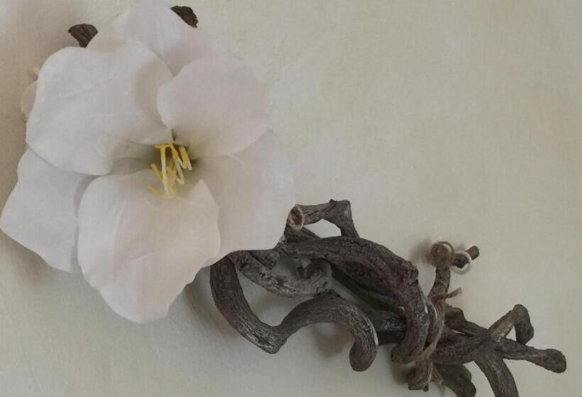 ベッドアンドブレックファースト Le Clos Des Cigales