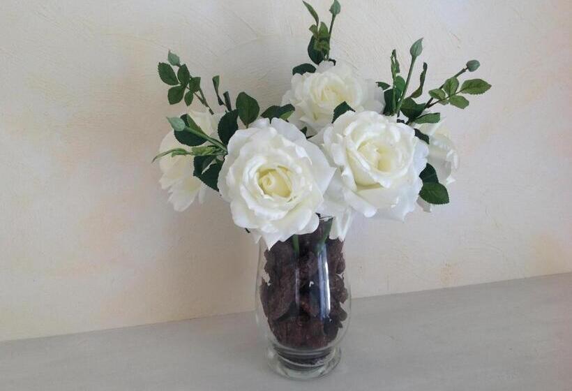 ベッドアンドブレックファースト Le Clos Des Cigales