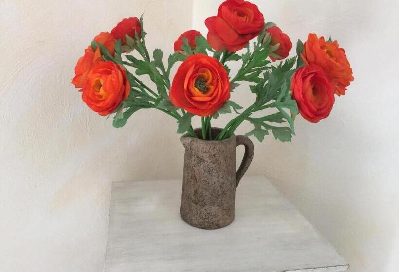 ベッドアンドブレックファースト Le Clos Des Cigales