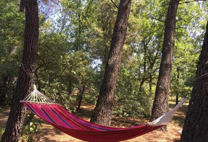 ベッドアンドブレックファースト Le Clos Des Cigales