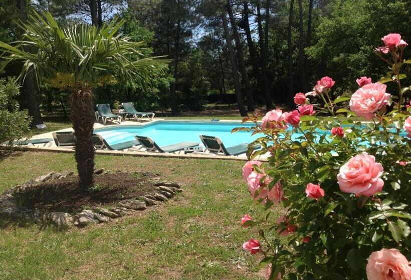 ベッドアンドブレックファースト Le Clos Des Cigales