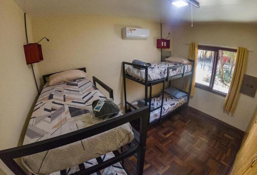 צימר Steve S House