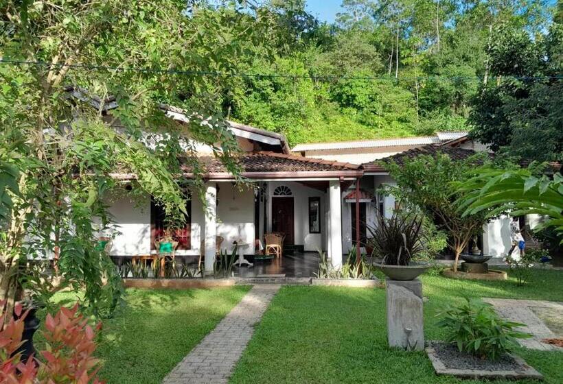 住宿加早餐  Villa Ali