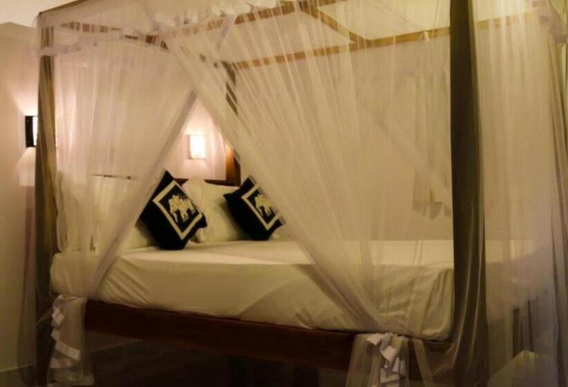 住宿加早餐  Villa Ali