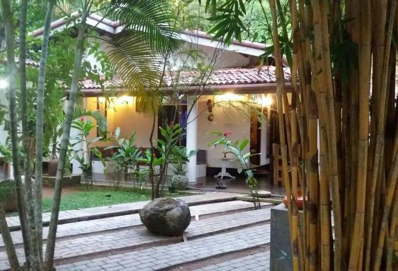 住宿加早餐  Villa Ali