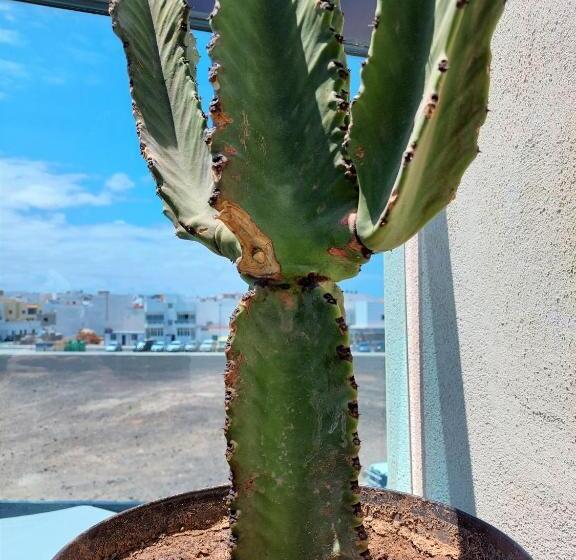 Deep Blue Cotillo Iii By Sea You There Fuerteventura