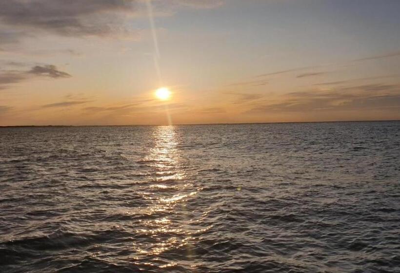 Ferienhaus Wiesenpieper