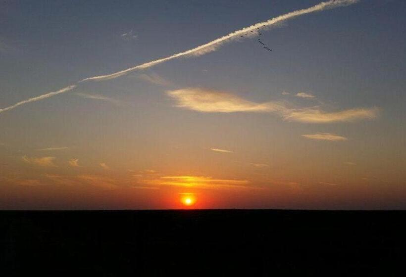 Ferienhaus Wiesenpieper