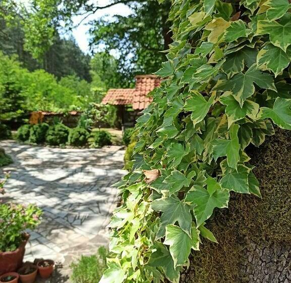 Отель семеен хотел хайдутите