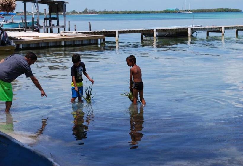 בית מלון כפרי Caye Caulker Condos