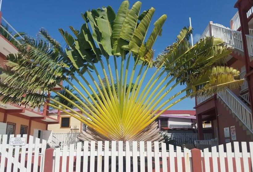 בית מלון כפרי Caye Caulker Condos