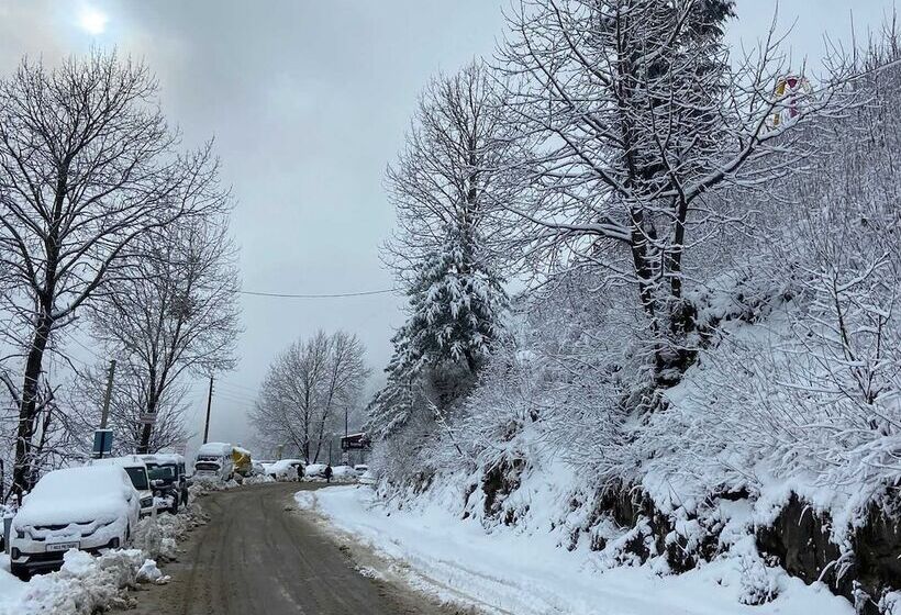 فندق Treebo Shimla Ayurvedic Retreat Kufri