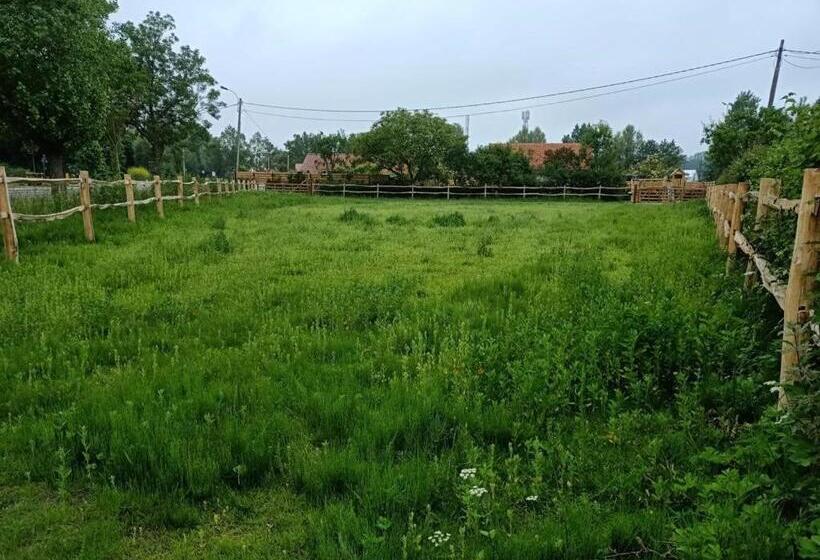 Mademoiselle Nineth Met Sauna