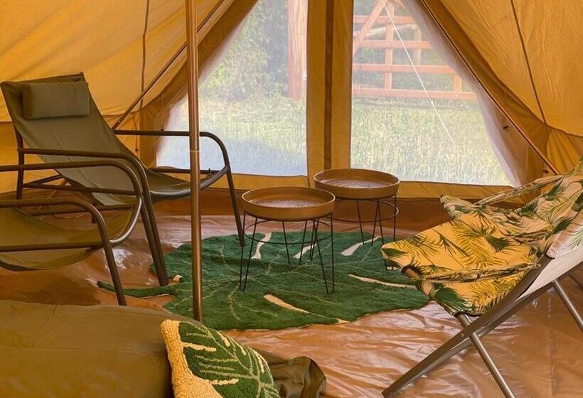 Mademoiselle Nineth Met Sauna