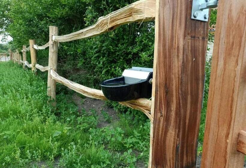 Mademoiselle Nineth Met Sauna